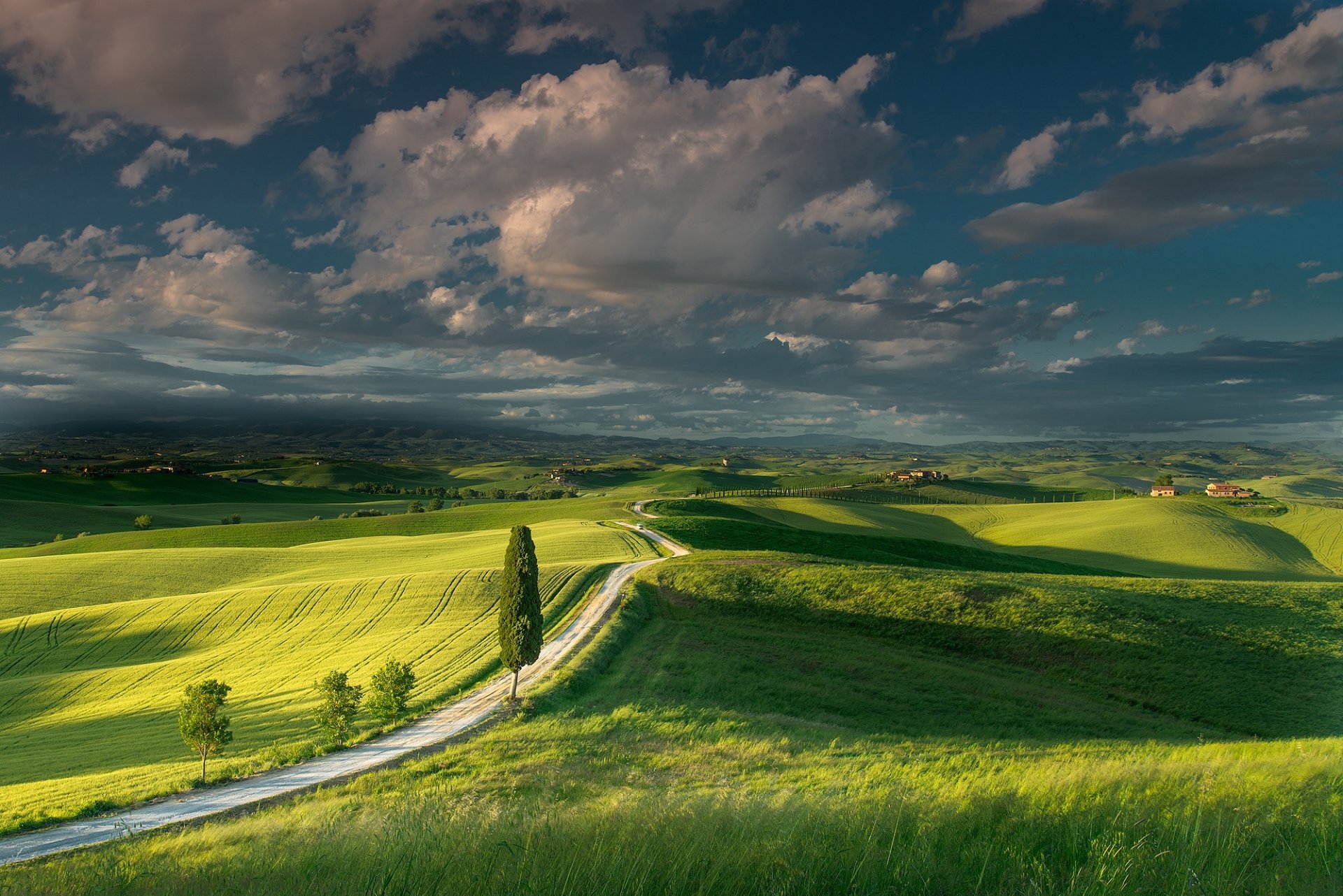 Rolling green hills of Tuscany with a classic cypress-lined road